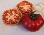 30 Seeds Sub Arctic Plenty Tomato Seeds Heirloom Organic Non Gmo .. 4550... - $8.99
