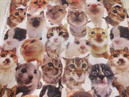 Spring Industries &quot;The Cat&quot; fabric  Smooth silky feel Pattern 1551 Vintage BTY - £8.11 GBP