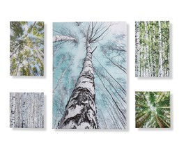 Birch Tree Wall Prints Set of 5 Stretched Canvas over Frame Green Blue White