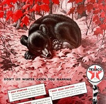 Texaco Motor Oil 1939 Advertisement Lithograph Hibernating Bear Fall DWCC5 - £47.95 GBP