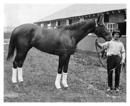 Man O War Champion Thoroughbred Race Horse 1920 8X10 Photo - £6.70 GBP