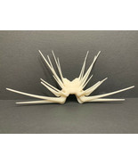 3D Printed Babylon 5 Shadow Battlecrab - $834.34 MXN