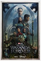 Black Panther Wakanda Forever TV Movie Poster: Official 27x40 inches, Do... - £28.25 GBP