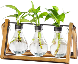 Plant Propagation Stations with Wooden Stand, Desktop Plant  Holder Bulb Vase - £22.76 GBP