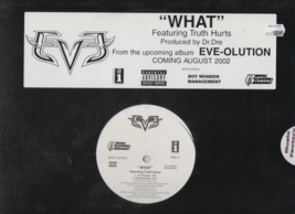 Eve Featuring Truth Hurts What Ultra Rare Promo 2002 Vinyl LP Dr Dre - $7.95
