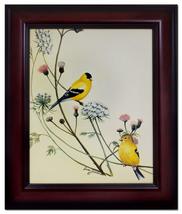 Audubon Finch Wildlife Bird Framed Print 10 X 12 Wall Decor Mahogony Che... - £24.25 GBP