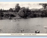 Rogue River Beach View Grants Pass Oregon OR UNP Unused Albertype Postca... - $20.74