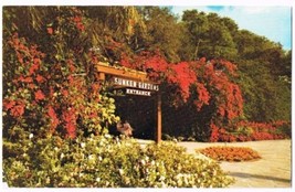 St Petersburg Florida Postcard Sunken Gardens - £2.31 GBP