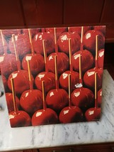 Springbok 500 Piece Candy Apple Fantasy Puzzle  - $19.79