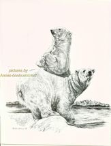 #178 POLAR BEAR * wildlife  art print *  pen &amp; ink drawing by Jan Jellins - $12.50
