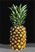 Pepita Needlepoint kit: Pineapple Still Life, 8&quot; x 12&quot; - £67.67 GBP+