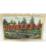 Curt Teich Linen Postcard 746 Royal Rose Arbor Lambert Gardens Portland ... - £3.90 GBP