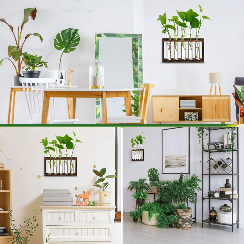 XXXFLOWER Plant Terrarium Wooden Stand with 5 Test Tubes,Glass Planters for Indo Item image 4