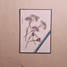 ACEO Original Ink Sketch Flowers - $6.00