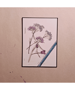 ACEO Original Ink Sketch Flowers - $6.00