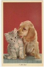 Vintage Postcard Blonde Cocker Spaniel Dog and Kitten I Like You 1964 - £5.45 GBP