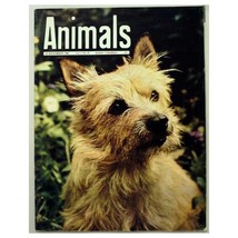 Animals  Magazine 19 November 1963 mbox3527/h Vol.2 No.22 - £3.12 GBP