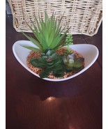 Succulent Plant Dish - $36.43 CAD