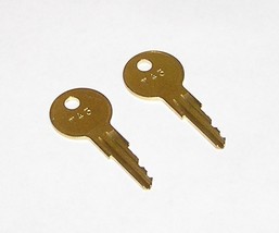 2 - T43 Replacement Keys fit Traulsen Refrigeration Equipment  - $10.99