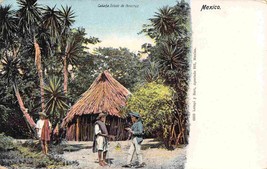 Cabana Peasant Home Veracruz State Mexico 1910c postcard - £5.45 GBP