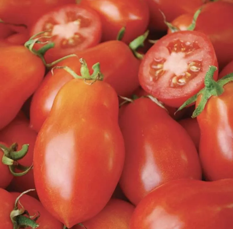 Martino&#39;s Roma Tomato Seeds Heirloom Organic - £2.70 GBP