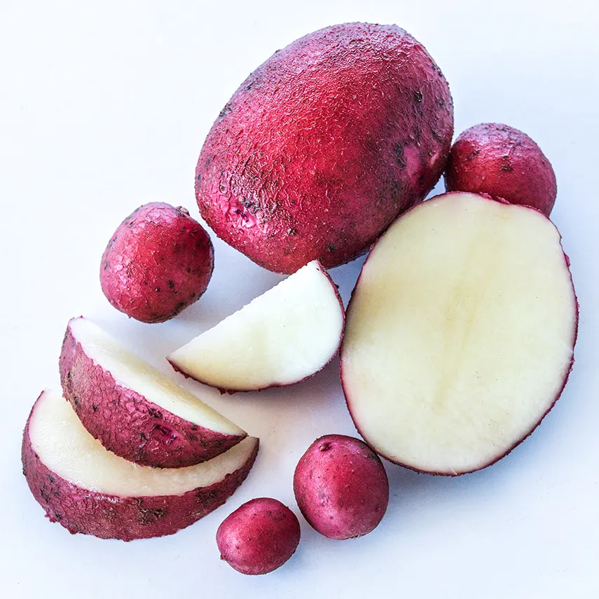 POTATO TUBERS SMILING EYES (25 MINI TUBERS), SEEDS R - $95.82 CAD
