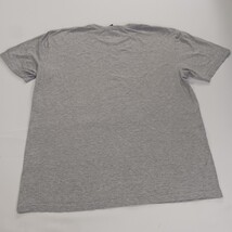 Gildan Softstyle Diamond Reapers Softball Men's Gray Graphic T-Shirt Size Large  image 3