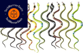 Rhode Island Novelty 14&quot; Rain Forest Snakes | Assorted Designs | Set of 12  - £15.65 GBP