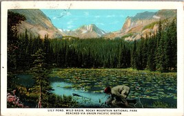 Lily Pond Wild Basin Rocky Mountain National Park Union Pacific Railway Postcard - £7.58 GBP