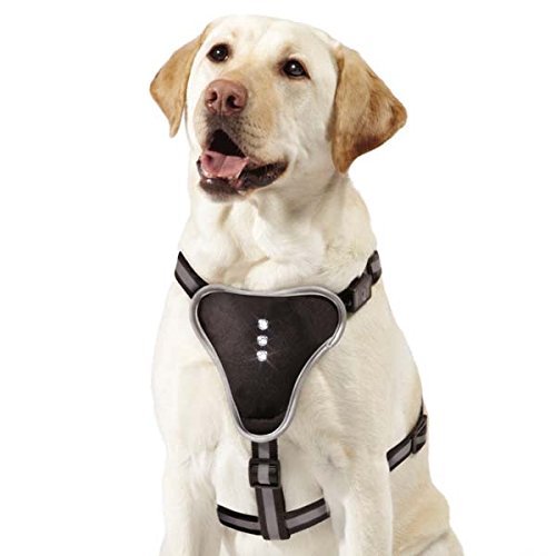 Zack &amp; Zoey Illuminate LED Harness for Pets, Small, Black - $16.05