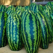 PWO Giant Jubilee Watermelon Seeds | Heirloom &amp; Non-Gmo 20 + Seeds - £5.66 GBP