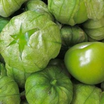 Grande Rio Verde Tomatillo Seeds 50 Ct Vegetable HEIRLOOM NON-GMO  - £1.67 GBP