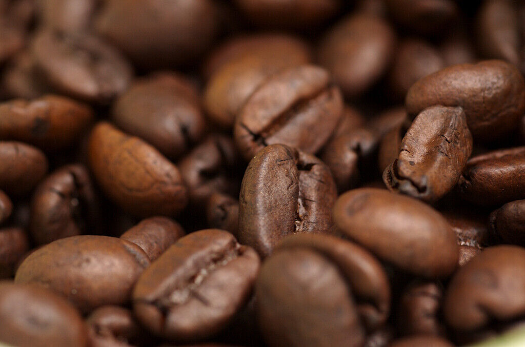 Premier Roast Coffee  12 oz,  Fresh Roasted Daily, Whole Bean Coffee GOU... - $9.85