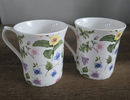QUEENS Fine Bone China England COUNTRY MEADOW Coffee,Tea Cup Set/2 - $368.88 MXN