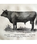 Mountaineer Kerry Bull Cow 1863 Victorian Agriculture Animals Art DWZ4A - €43,05 EUR Mountaineer Kerry Bull Cow 1863 Victorian Agriculture Animals Art DWZ4A - €43,05 EUR