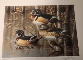Vintage 1999 Seven Devils Wood Ducks Stamp Print Arkansas Migratory Hunting - £115.59 GBP