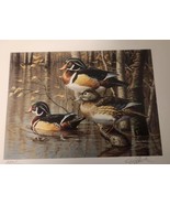 Vintage 1999 Seven Devils Wood Ducks Stamp Print Arkansas Migratory Hunting - £116.66 GBP