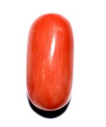 Coral / Red coral - 12.23 carats - Italian - Lab Certified - $318.06 CAD