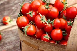 30 SWEETIE TOMATO VEGETABLE SEEDS FOR GARDEN - $7.00