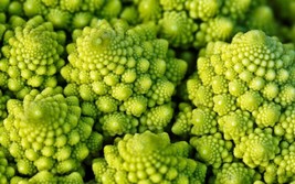 Romanesco Broccoli Seeds 300+ Vegetable Garden Non-Gmo From US - £6.82 GBP