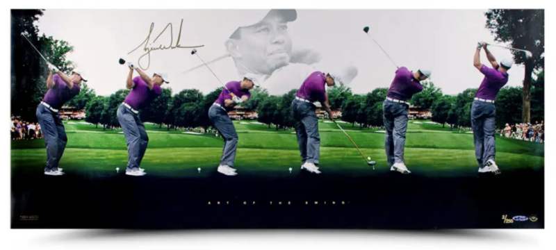 David Duval, Golf, Pga, Golfer, Signed, Autographed, 8x10 Photo, Coa, Rare Hard to Find Photo David Duval, Golf, Pga, Golfer, Signed, Autographed, 8x10 Photo, Coa, Rare Hard to Find Photo
