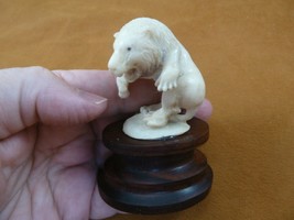 tb-lion-5 male Lion walking roar Tagua NUT palm figurine Bali carving love lions - £40.02 GBP