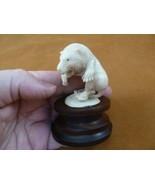 tb-lion-5 male Lion walking roar Tagua NUT palm figurine Bali carving lo... - £38.75 GBP