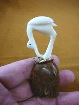 (TNE-BIR-FL-049-B) Flamingo bird + nest egg TAGUA NUT figure carving fla... - £15.37 GBP