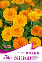 Calendula Orange Pot Marigold Flower Original Pack 30 - $8.98