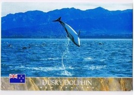 New Zealand Postcard Dusky Dolphin Kaikoura Coast South Island - $2.12