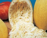 50 Seeds Spaghetti Squash Seeds Winter Heirloom Organic Non Gmo Fresh Fa... - $8.99