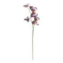 Butterfly Spray (Set of 6) - $1,009.12 MXN