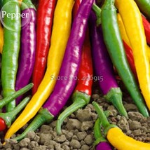 Fresh New Mixed Colorful Hot Colorful Pod Pepper Chili 50 Seeds New Hot Ornament - £20.64 GBP