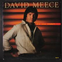 are you ready? [Vinyl] DAVID MEECE - $10.85
